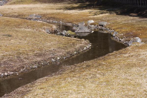 冬の平泉毛越寺、庭園の「遣水」