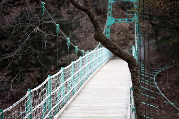 冬の一関・厳美渓に架かる吊り橋