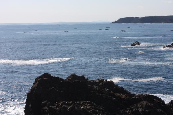 碁石岬から見る太平洋