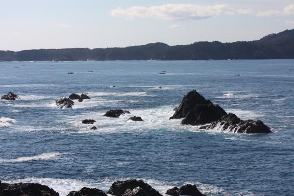 陸中海岸の碁石岬から見る冬の海岸