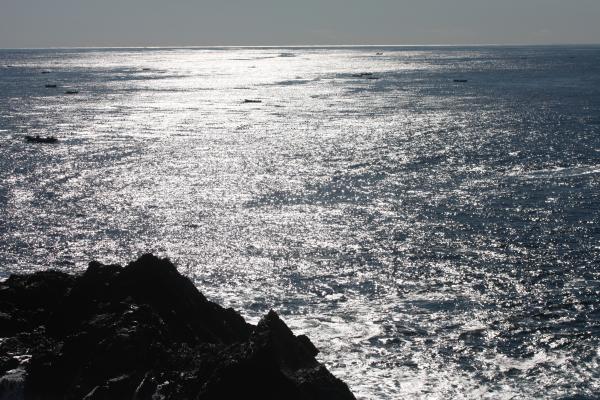 陸中海岸の碁石岬から見た太平洋の海原