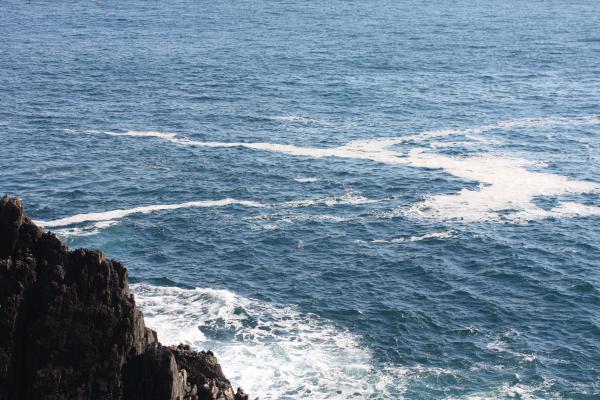 碁石岬と太平洋からの白波