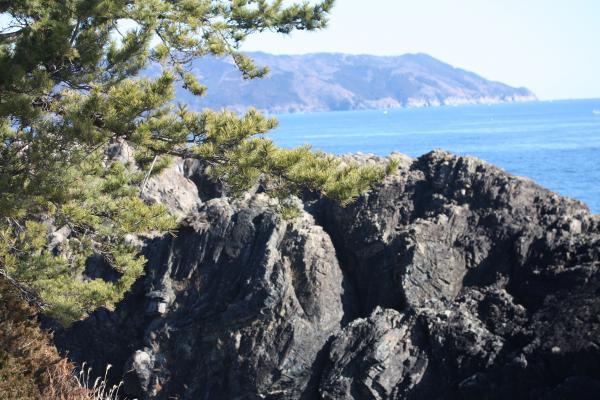 碁石岬の岩