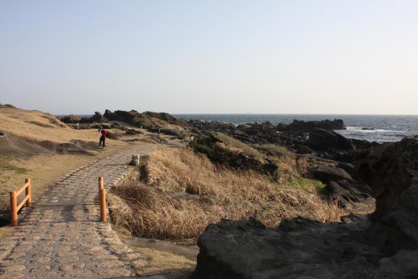 野島埼の海岸と遊歩道