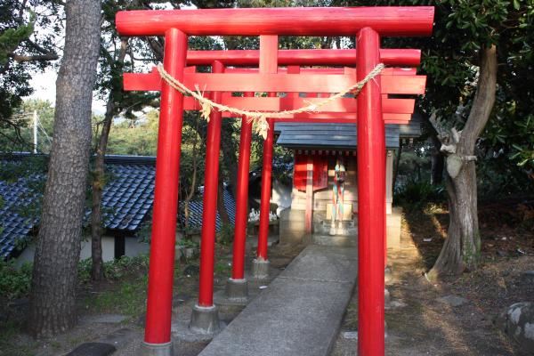 野島埼「厳島神社」傍の鳥居群