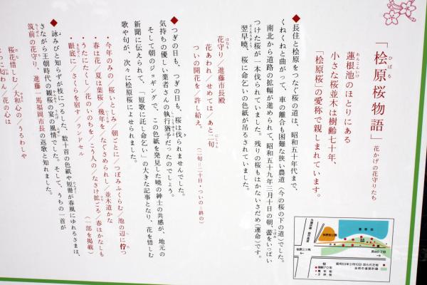 福岡「桧原桜物語」の説明板
