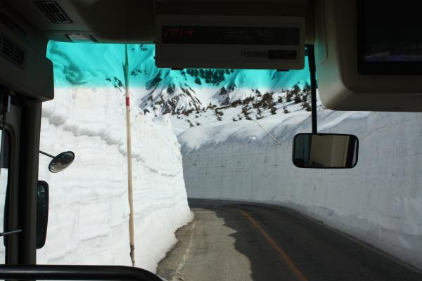 バスから見る「雪の大谷」