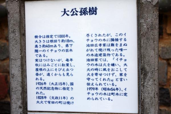 有田弁財天の大公孫樹の説明板/癒し憩い画像データベース
