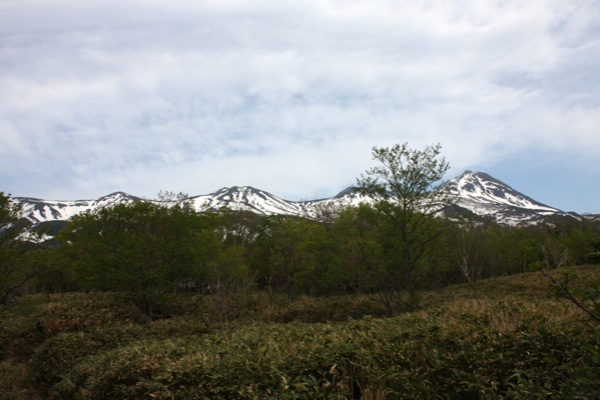知床五湖から見た知床連山