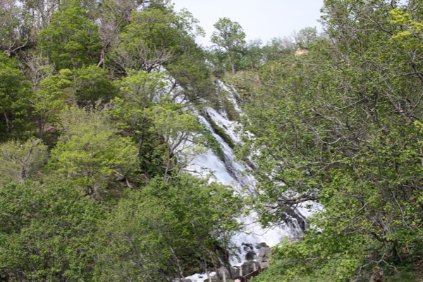 春・新緑期の「オシンコシンの滝」/癒し憩い画像データベース
