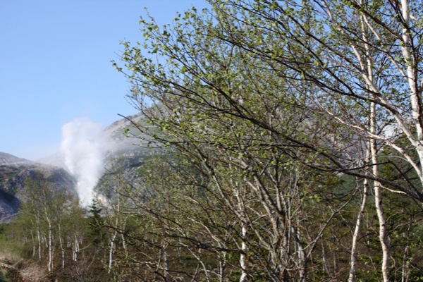 白樺の原生林と硫黄山の白煙/癒し憩い画像データベース