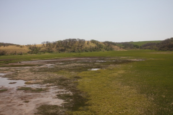 道東の広大な原野と湿地帯