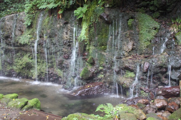 岩を伝う箱根の「千条の滝」