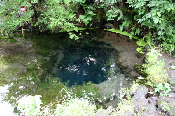 コバルトブルー色の小さな湧き水池