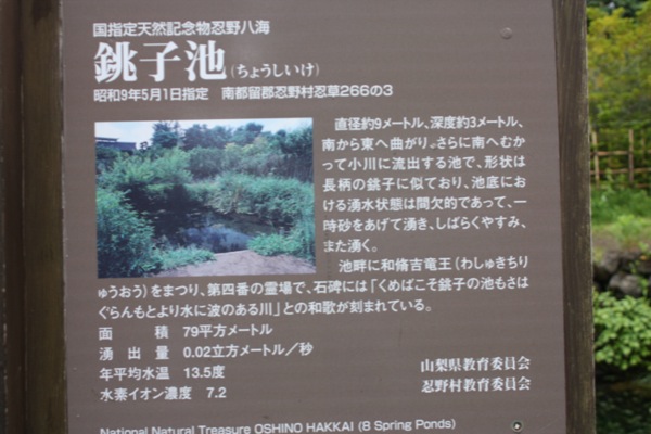 忍野八海の「銚子池」説明版