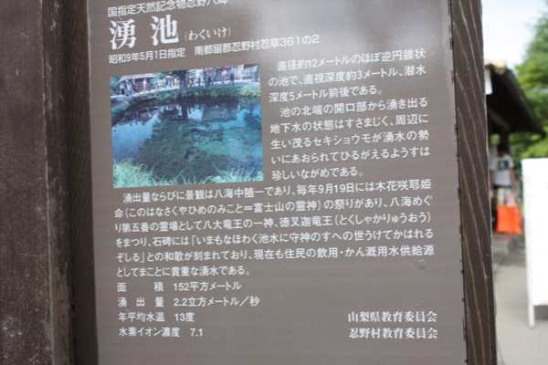 忍野八海の「湧池」説明版