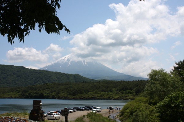 富士五湖の１つ、初夏の「西湖」と富士山