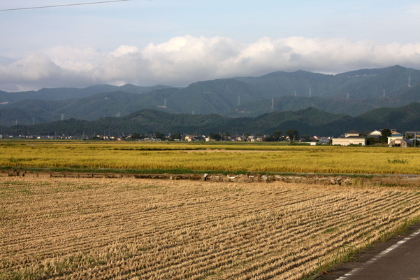 越前平野に広がる稲田と山並み/癒し憩い画像データベース