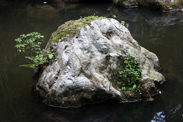 池の中の岩島