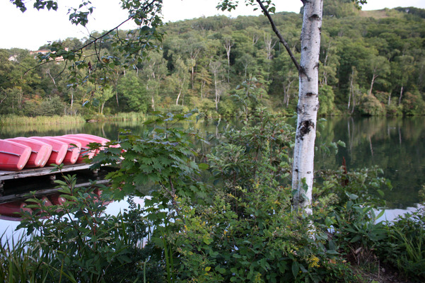 池畔のボートと白樺の木