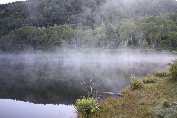 志賀高原・木戸池の朝霧