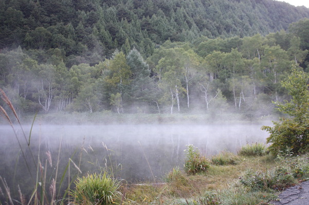 志賀高原・木戸池の朝霧と霞む白樺林