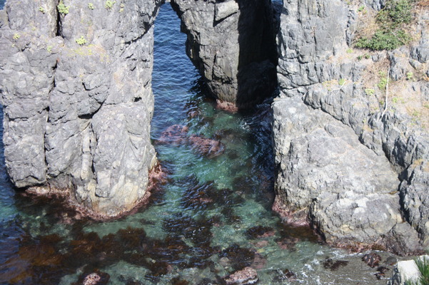 青海島の奇岩「象の鼻」