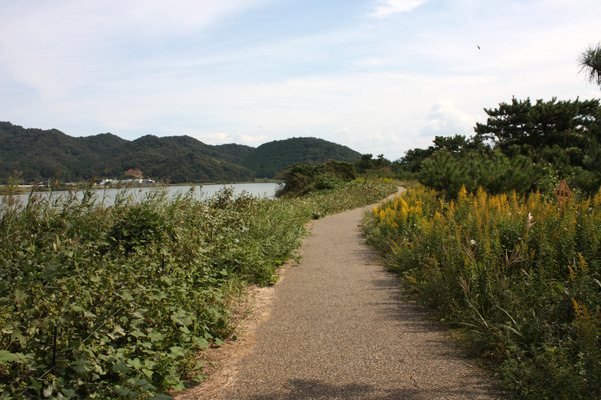 青海島「波の橋立」の道/癒し憩い画像データベース