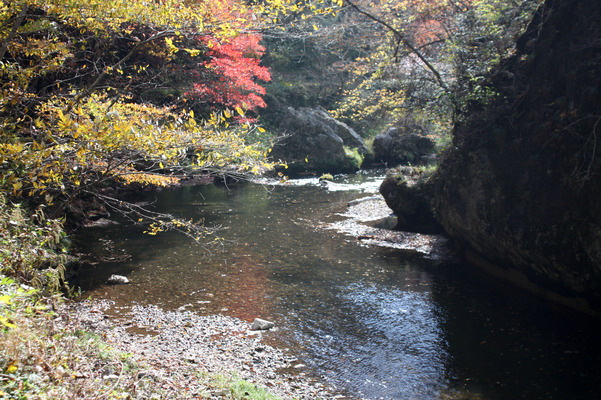 渓流と川面の秋模様/癒し憩い画像データベース