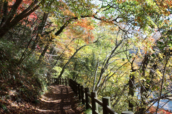 峡谷の秋模様と遊歩道