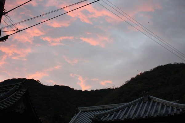 寺の屋根と夕映え雲