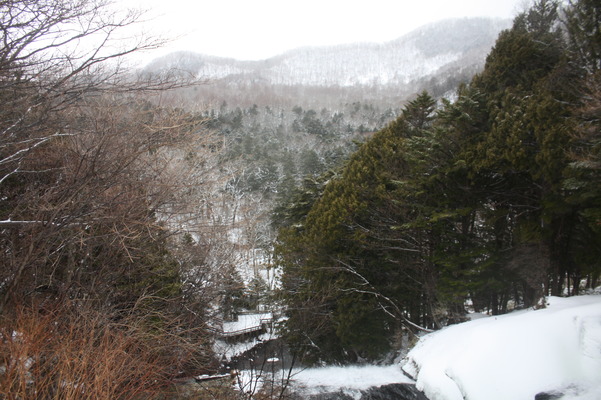 湯滝の上部から見た渓谷の冬景色
