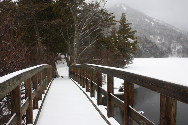 「湯ノ湖」に架かる積雪の橋