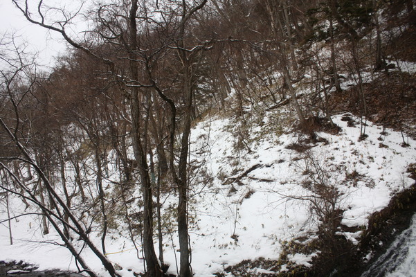 冬の奥日光「湯滝」周辺の積雪