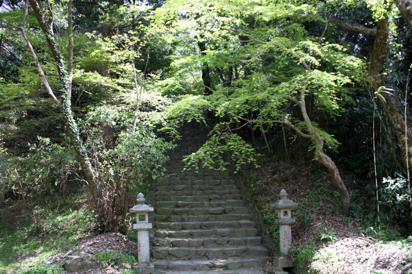 垂裕神社への石段と春模様/癒し憩い画像データベース