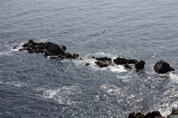 函館「立待岬」の岩礁と白波