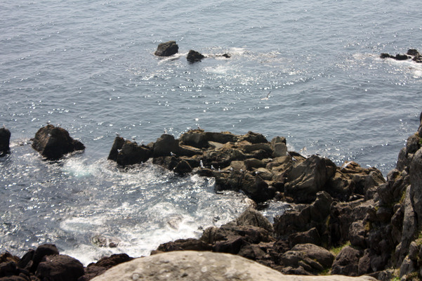函館「立待岬」の岩礁と白波