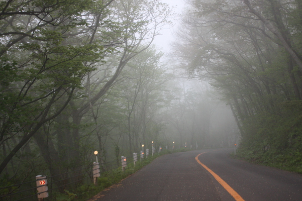 濃霧に包まれた函館山への車道