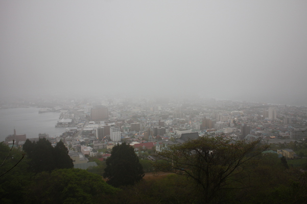 函館山の中腹から見た濃霧に包まれる函館の街と港