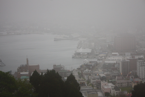 函館山の中腹から見た濃霧に包まれる函館の港