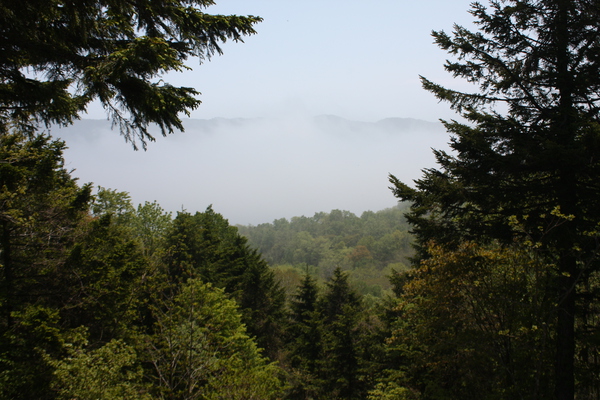 霧に包まれた支笏洞爺国立公園・「クッタラ湖」の遠望