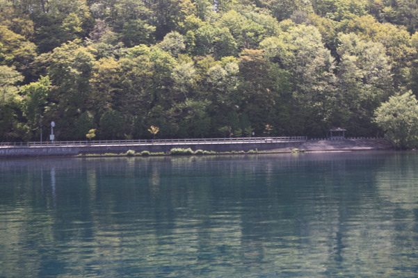 遊覧船から見た「親水広場」と湖畔の森