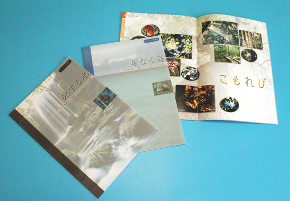 �����Ƥ��β�����①��③/�����Ƥ������ǡ����١���