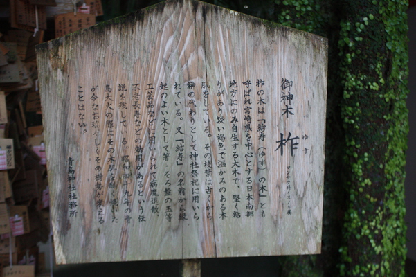 青島神社の御神木説明版