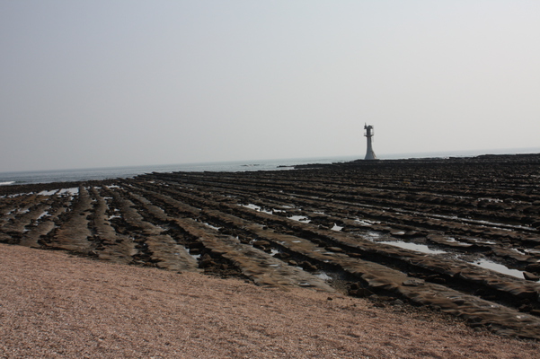 日向・青島の灯台と洗濯岩