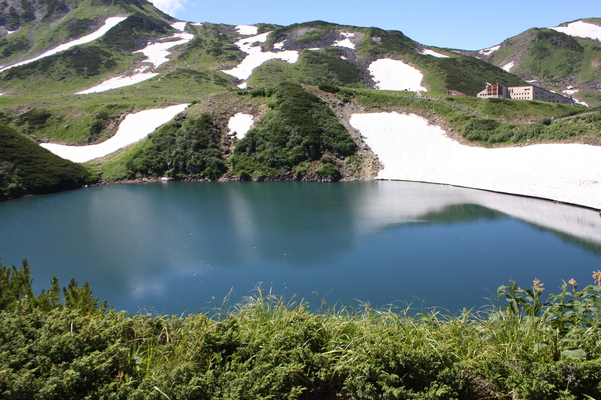 夏の立山・室堂「みくりが池」と雪渓