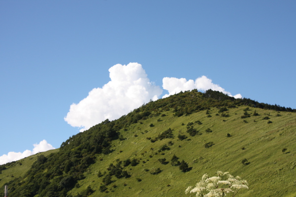 夏の青空と白雲/癒し憩い画像データベース