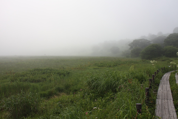 朝霧の八島ヶ原湿原