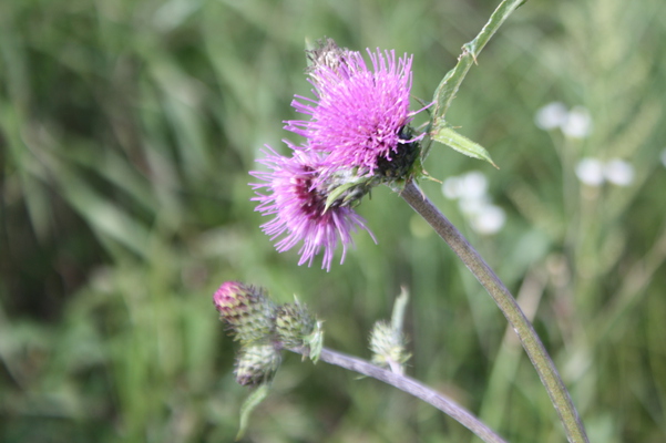 �Υϥ饢����/�����Ƥ������ǡ����١���