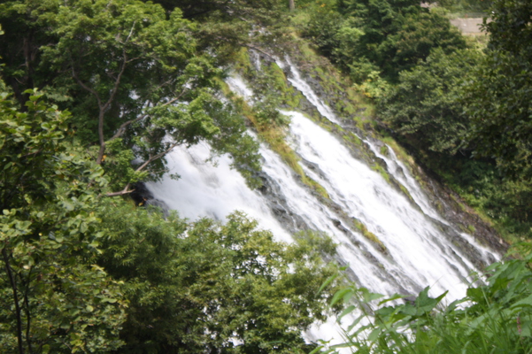 緑葉の中の「オシンコシンの滝」